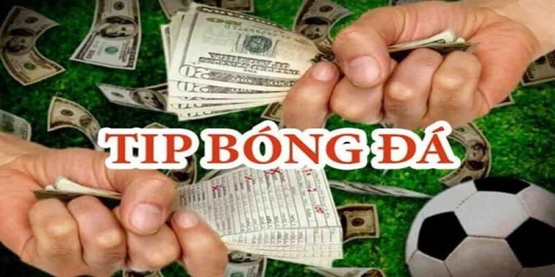 Áp dụng tips bóng đá giúp bạn cải thiện chiến lược cá cược của mình