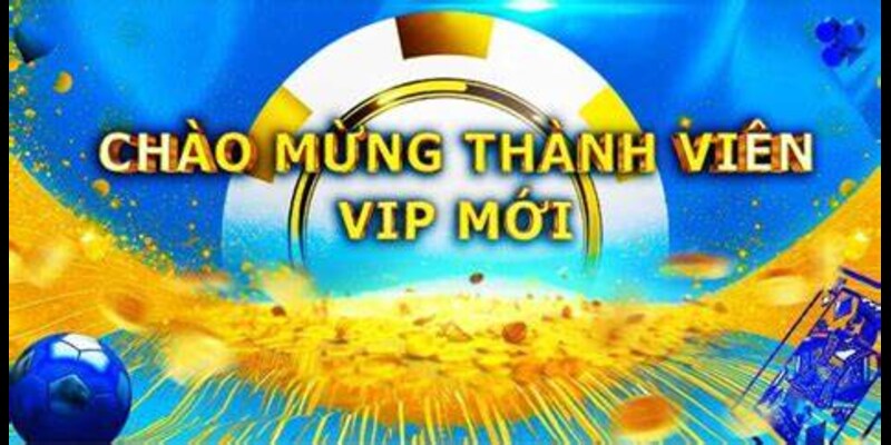 Chào mừng thành viên VIP cùng chúng tôi