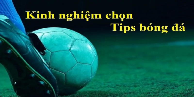 Trong cộng đồng cá cược có nhiều loại tips bóng đá phổ biến