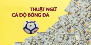 Top Những Thuật Ngữ Cá Độ Bóng Đá Cần Biết Tại 12BET